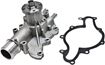 Ford Water Pump-Mechanical | Replacement REPF313529