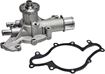 Ford Water Pump-Mechanical | Replacement REPF313529