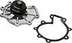 Mercury, Ford, Mazda, Lincoln Water Pump-Mechanical | Replacement REPM313527