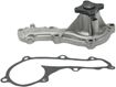 Nissan Water Pump-Mechanical | Replacement REPN313511