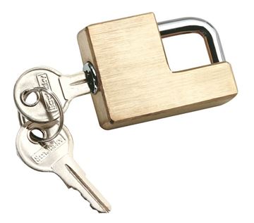 Reese Towpower Adjustable Brass Coupler Lock, Fulton 7005300